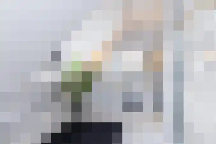 Moltbos 4 Landgraaf thumbnail 44