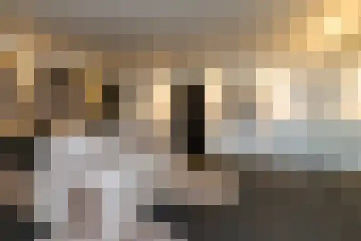 Moltbos 4 Landgraaf thumbnail 46