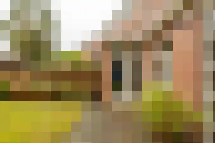 Molukkenstraat 40 Groningen thumbnail 39