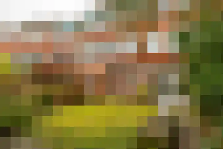 Molukkenstraat 40 Groningen thumbnail 4