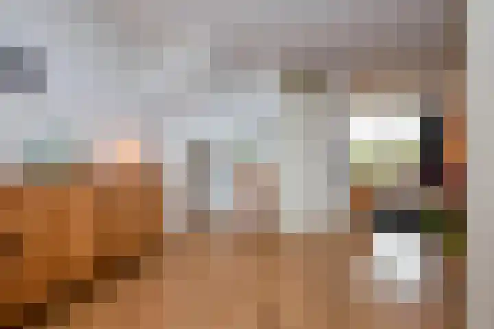 Molwijk 11 Middenbeemster thumbnail 19