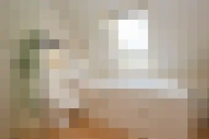 Molwijk 11 Middenbeemster thumbnail 36