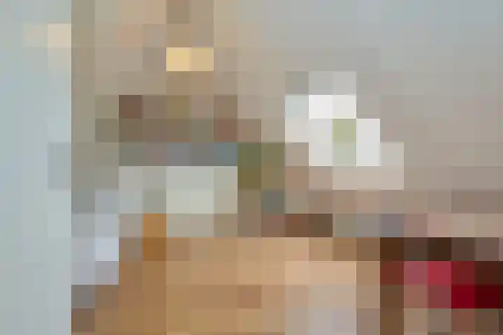 Molwijk 11 Middenbeemster thumbnail 42