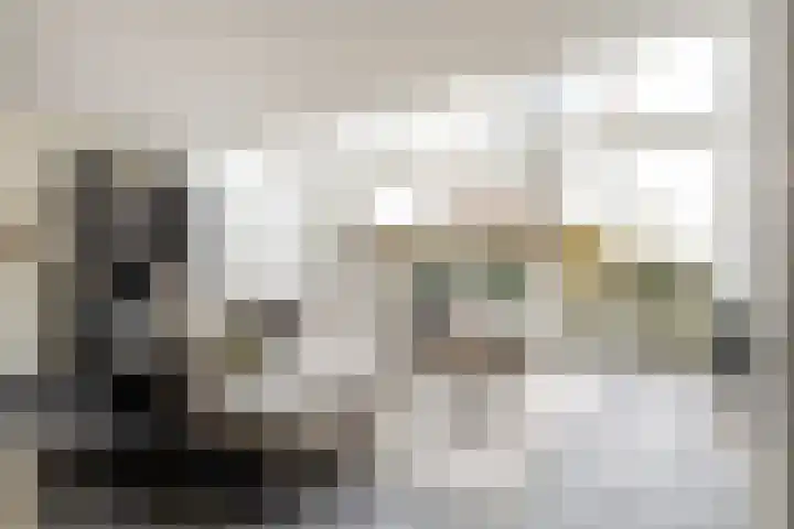 Molwijk 4 Middenbeemster thumbnail 12