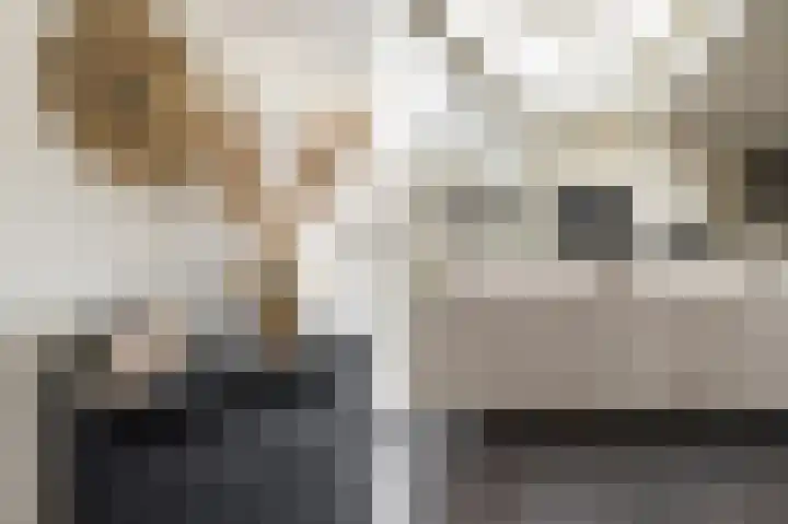 Molwijk 4 Middenbeemster thumbnail 14