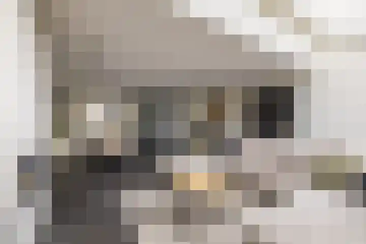 Molwijk 4 Middenbeemster thumbnail 15