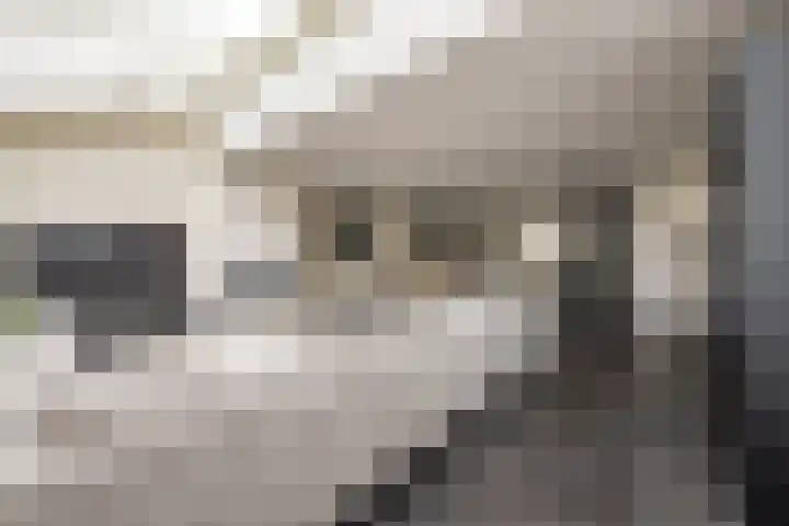 Molwijk 4 Middenbeemster thumbnail 16