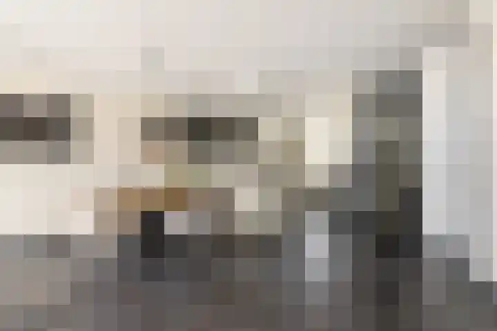 Molwijk 4 Middenbeemster thumbnail 17