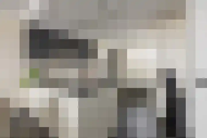 Molwijk 4 Middenbeemster thumbnail 19