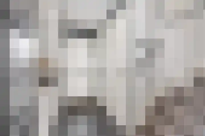 Molwijk 4 Middenbeemster thumbnail 23