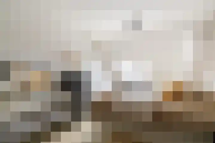 Molwijk 4 Middenbeemster thumbnail 25