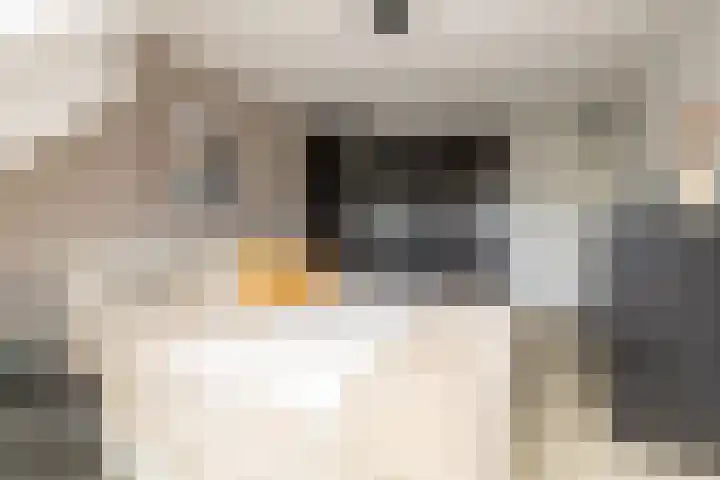 Molwijk 4 Middenbeemster thumbnail 26