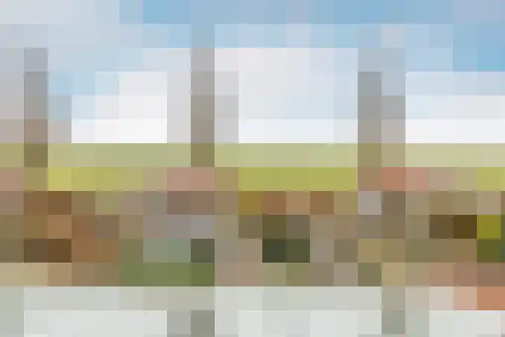 Molwijk 4 Middenbeemster thumbnail 27