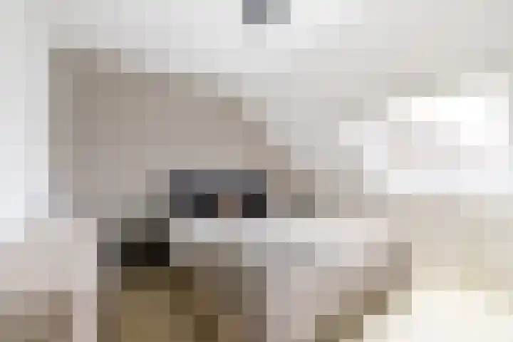 Molwijk 4 Middenbeemster thumbnail 28