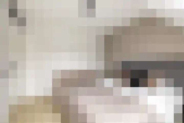 Molwijk 4 Middenbeemster thumbnail 30