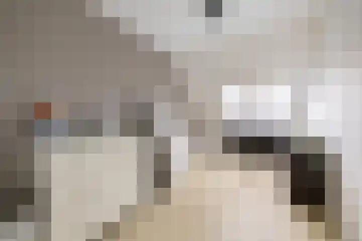 Molwijk 4 Middenbeemster thumbnail 31