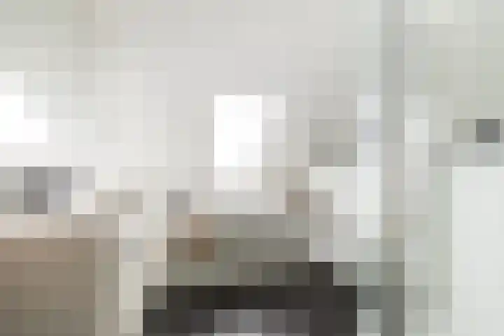 Molwijk 4 Middenbeemster thumbnail 32
