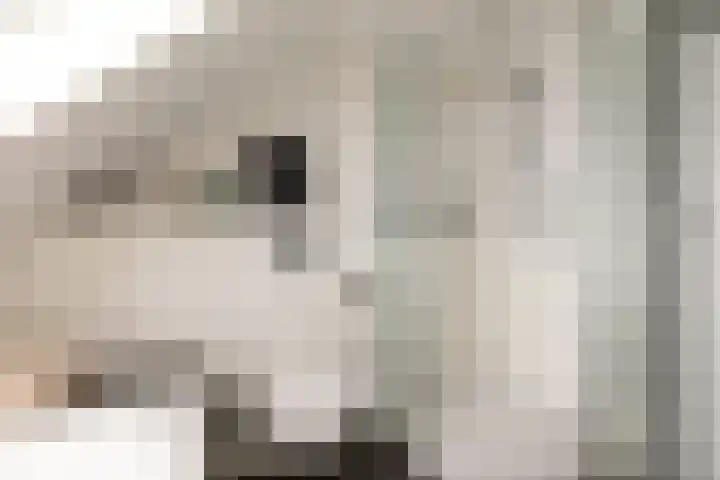 Molwijk 4 Middenbeemster thumbnail 35