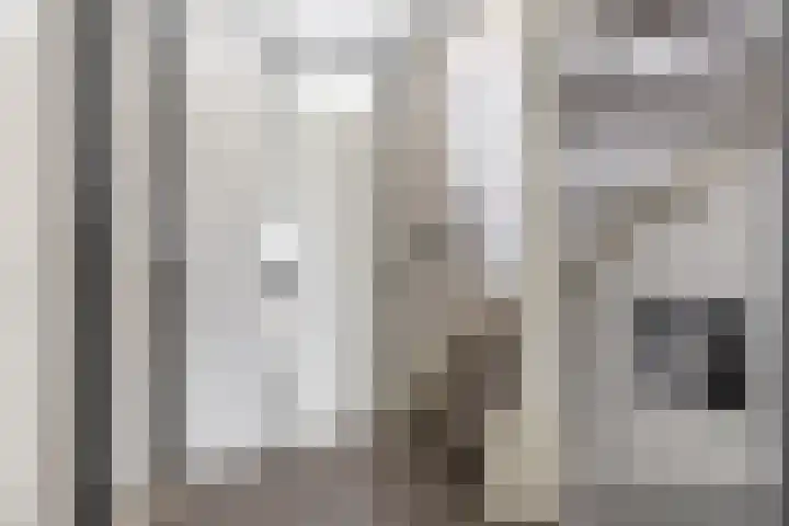 Molwijk 4 Middenbeemster thumbnail 36
