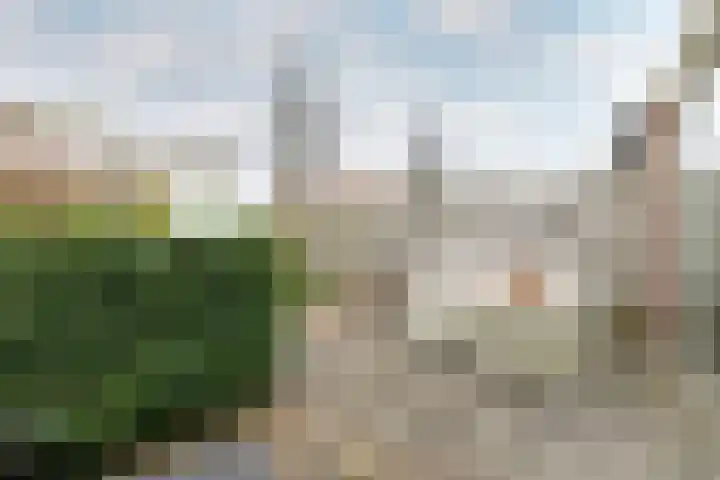 Molwijk 4 Middenbeemster thumbnail 40
