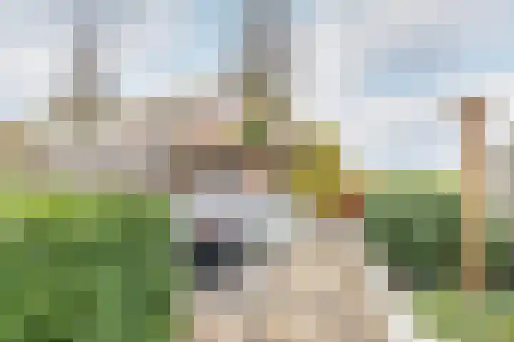 Molwijk 4 Middenbeemster thumbnail 41
