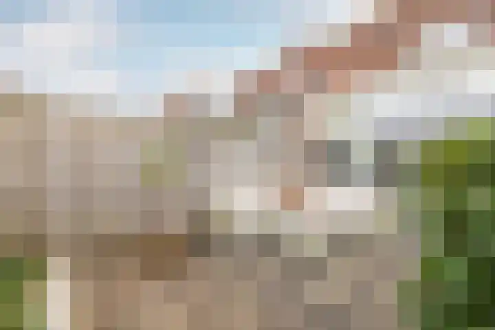 Molwijk 4 Middenbeemster thumbnail 43