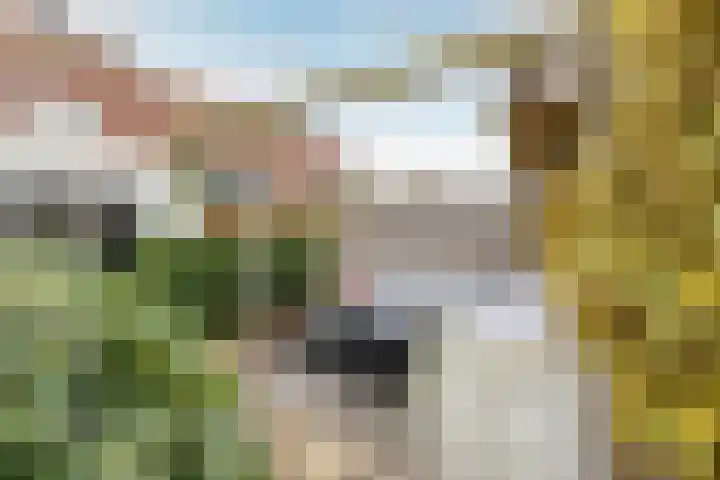 Molwijk 4 Middenbeemster thumbnail 45