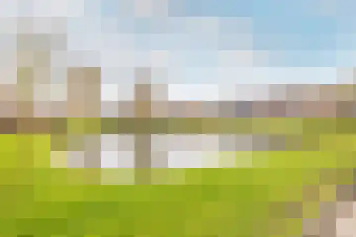 Molwijk 4 Middenbeemster thumbnail 48