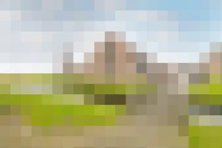 Molwijk 4 Middenbeemster thumbnail 49
