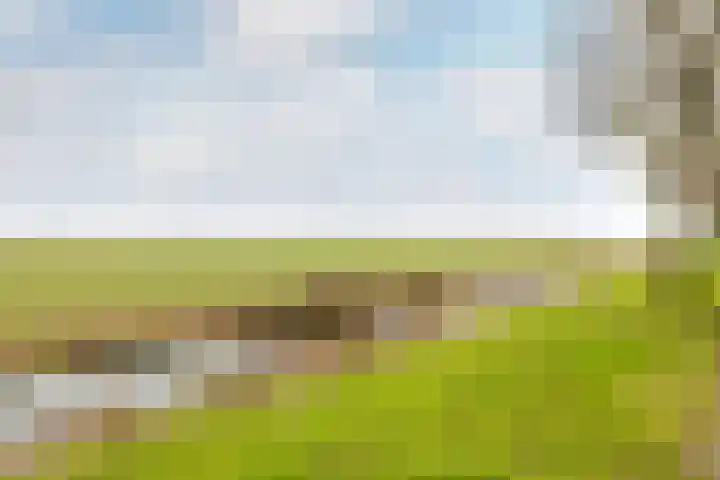 Molwijk 4 Middenbeemster thumbnail 50