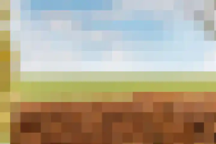 Molwijk 4 Middenbeemster thumbnail 52