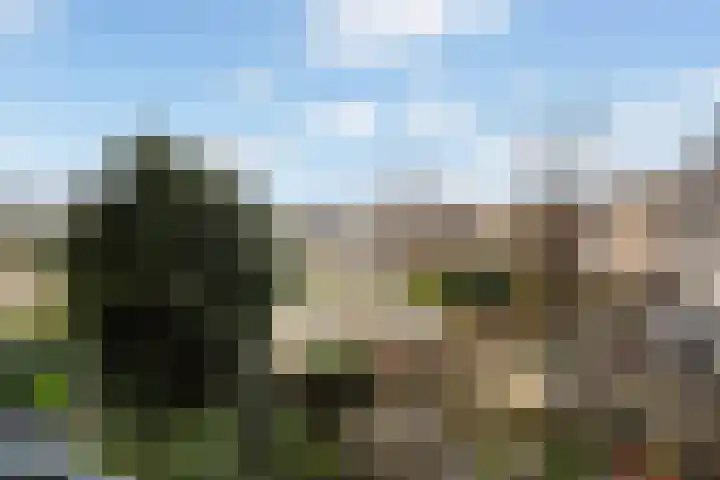 Mommastraat 6 Wateringen thumbnail 12