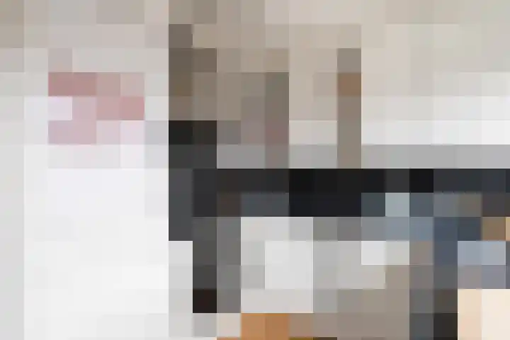 Mommastraat 6 Wateringen thumbnail 16