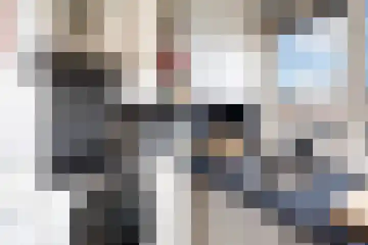 Mommastraat 6 Wateringen thumbnail 17