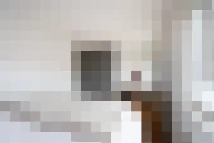 Mommastraat 6 Wateringen thumbnail 23