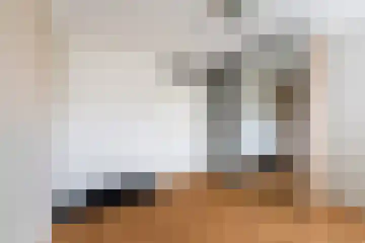 Mommastraat 6 Wateringen thumbnail 27