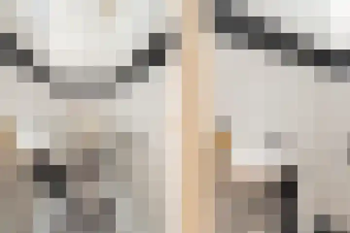 Mommastraat 6 Wateringen thumbnail 30