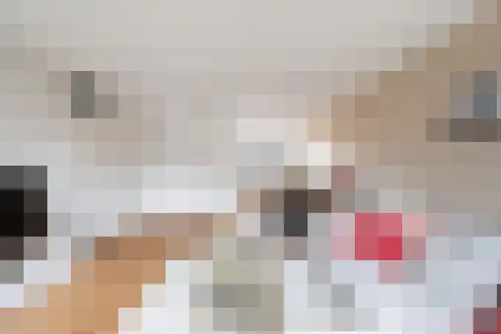 Mommastraat 6 Wateringen thumbnail 8