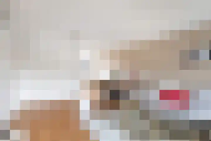 Mommastraat 6 Wateringen thumbnail 9