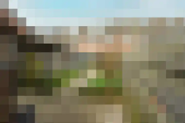 Monacokade 7 De Lier thumbnail 16