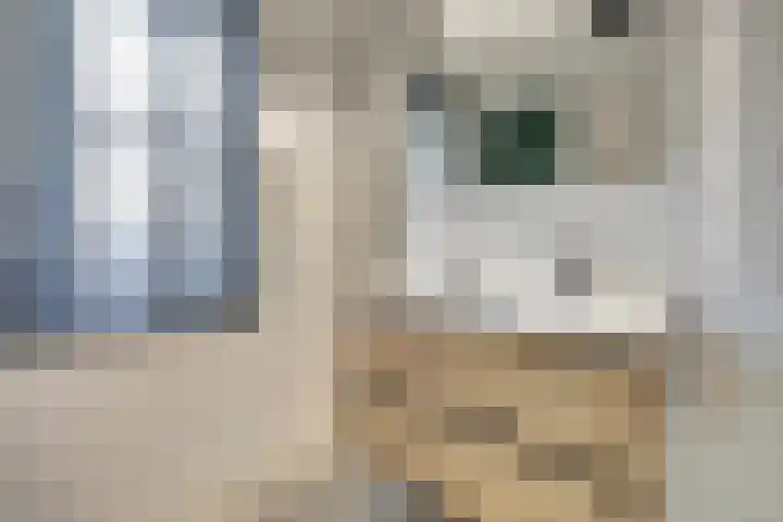 Monacokade 7 De Lier thumbnail 31