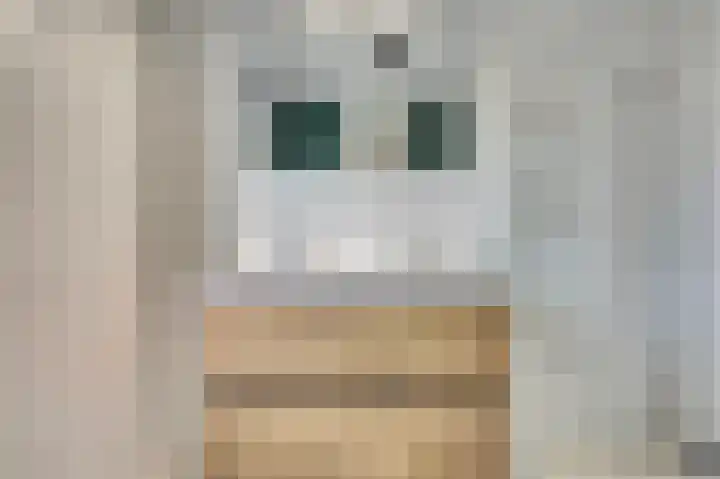 Monacokade 7 De Lier thumbnail 32