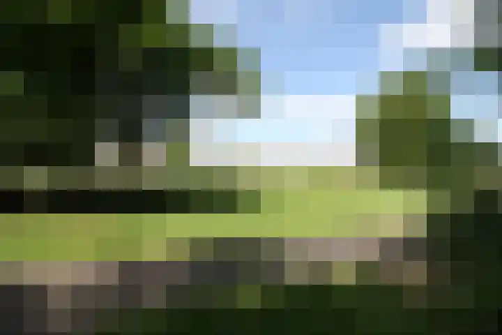 Monacokade 7 De Lier thumbnail 39