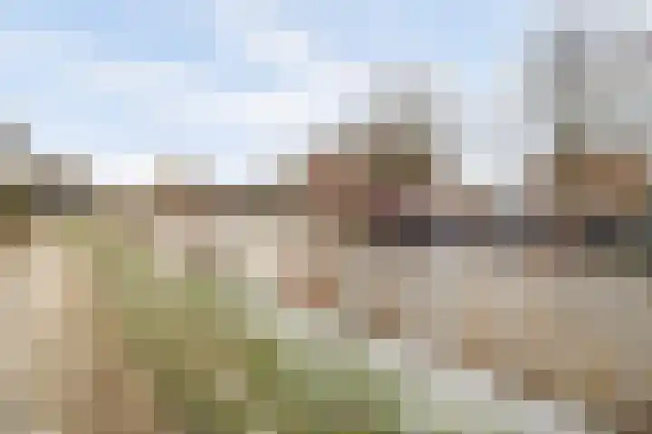 Monacokade 7 De Lier thumbnail 43