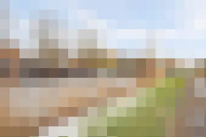 Monacokade 7 De Lier thumbnail 44