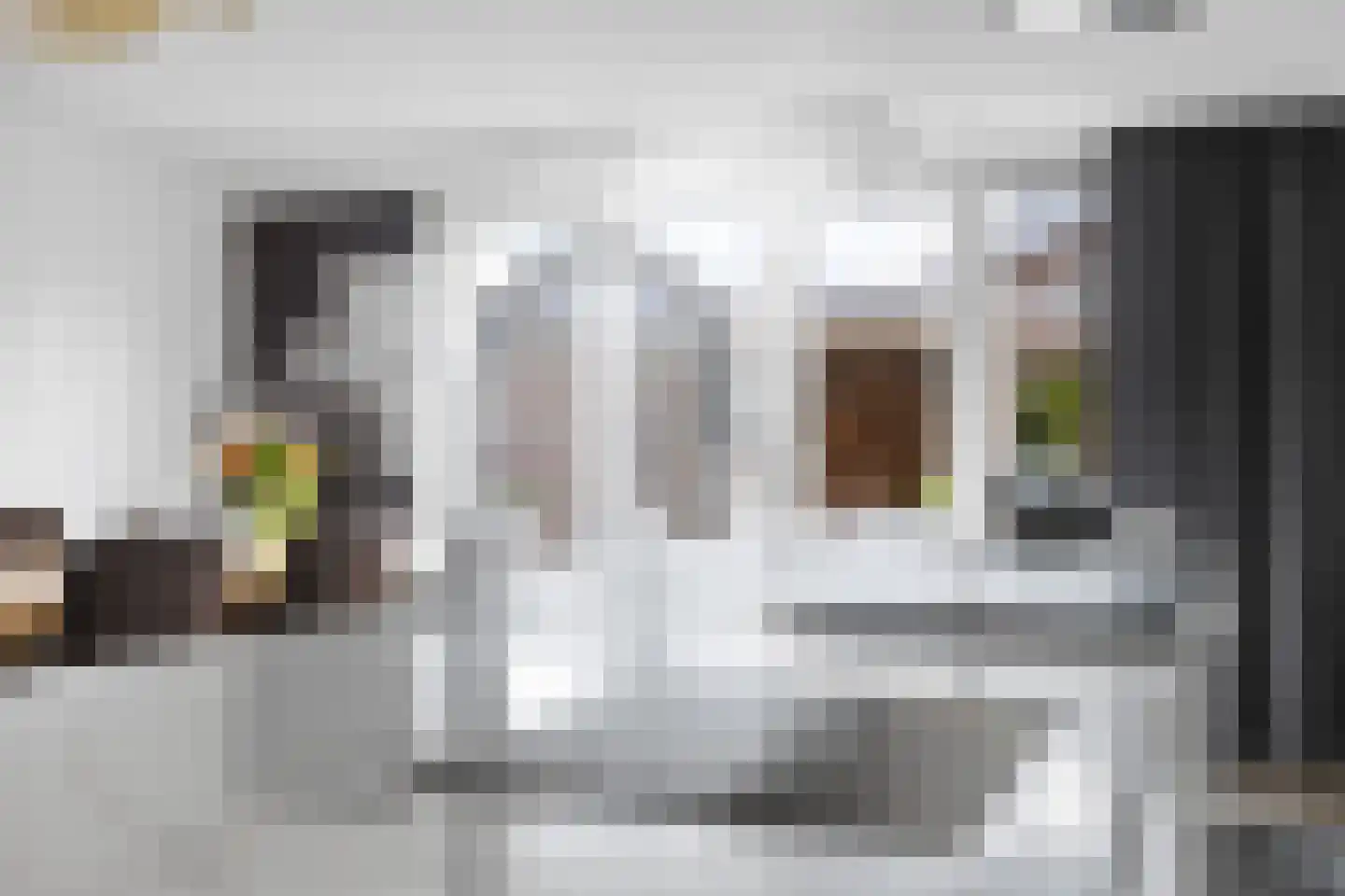 Monarchvlinderlaan 2 Culemborg thumbnail 19