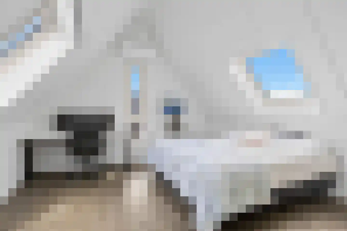 Monarchvlinderlaan 2 Culemborg thumbnail 41