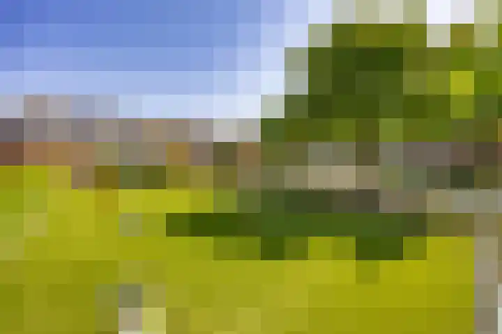 Mondriaan 42 Monster thumbnail 24