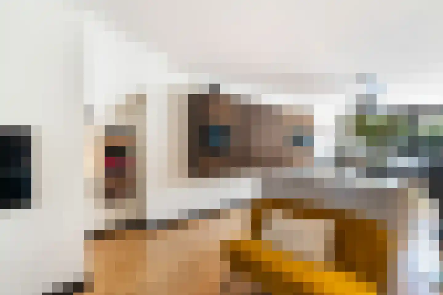 Mondriaan 5 Monster thumbnail 27