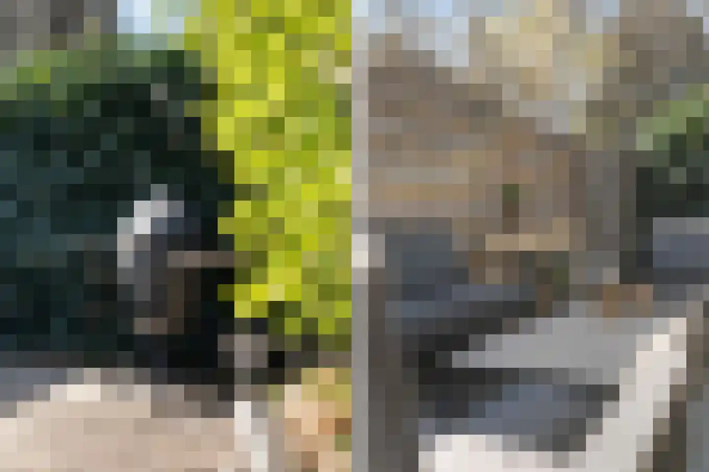 Mondriaan 5 Monster thumbnail 33